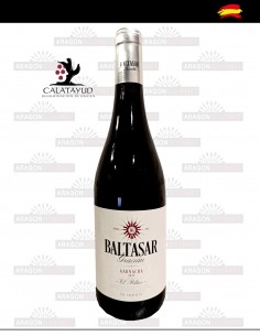 Vino Baltasar Gracián “El Político”