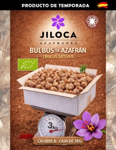 Bulbos cal B 3kg portada