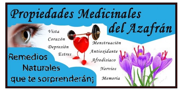 Propriétés médicinales du safran