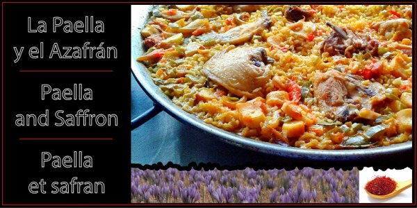 Safran dans paella, secrets et usages